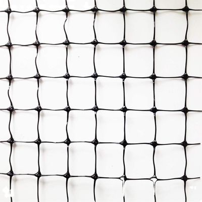 Anti-bird Netting Mesh for Chicken in Garden Orchard Vineyard BOP PP Plastic 2cm Mesh