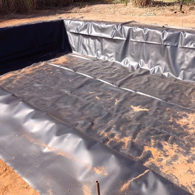 HDPE Geomembrane Black Impervious Membrane for Fish Pond Waterproofing in Aquaculture
