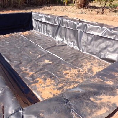 High Density Polyethylene HDPE LDPE Geomembrane for Dam Liner Fish Farm Pond Liners