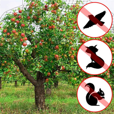 8-100GSM Black PP Plastic Stretch Anti-Bird Netting for Chicken Farm Fence and Deer Nets