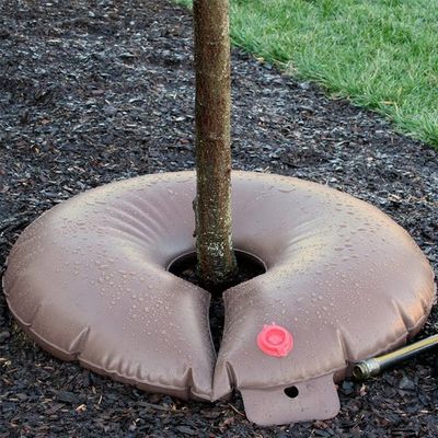 High Surface Hardness Tree Watering Bag for Slow Release and Thorough Irrigation