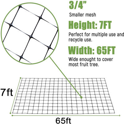 UV Resistant White Black Green PP Plastic Mesh for Anti-bird Net/Rabbit Deer Control
