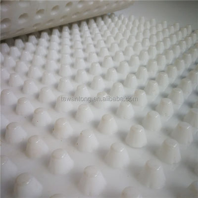 Roof Drainage Waterproof Membrane Drain Sheet with CE/ISO9001/ISO14001 Certifications