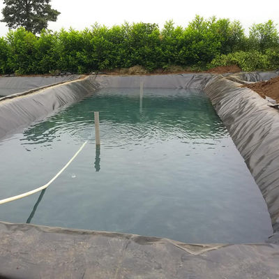 GB/ASTM GRI-GM13 Standard HDPE Geomembrane Liner for Fish Farming Waterproofing Material