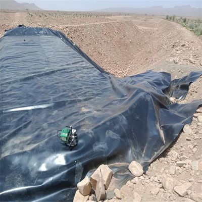 Onsite Installation Service for ASTM Standard Smooth HDPE Geomembrane Pond Pool Liner