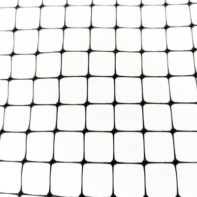 Garden Plastic BOP Net PP Anti Bird Nets for Chicken Farm Fence and Vineyard Netting