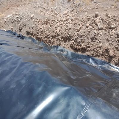 Chinese Design Style Water Pond Plastic Polyethylene Geomembrane Liner for Fish Pond