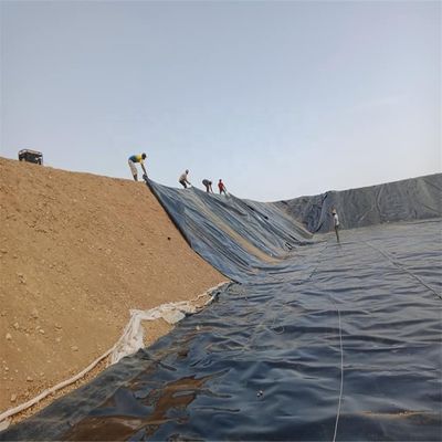 Chinese Design Style Water Pond Plastic Polyethylene Geomembrane Liner for Fish Pond