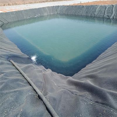 Chinese Design Style Water Pond Plastic Polyethylene Geomembrane Liner for Fish Pond