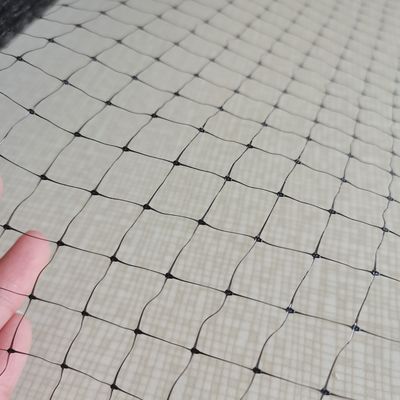 25gsm PP Plastic Mesh Netting for Chicken Farm Customized Length Anti-Mole Anti-Bird