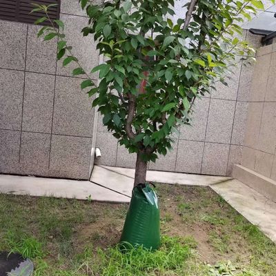Green 2 Packs 15 Gallon Slow Release Self Drip Irrigation Tree Watering Bag CE/ISO Approved