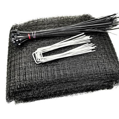 2cm Mesh Anti Pigeon Net for Protecting Berry Trees in Your Rice Field and Garden