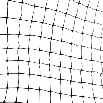 Max 4m Width Customized Length 13GSM Bop Stretched PP Net for Garden Bird Protection
