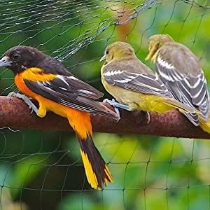 CE ISO Certified Heavy Duty Anti-Bird Net Mesh Trellis Net for Garden Greenhouse Orchard