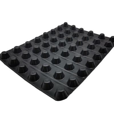 60mm Height HDPE Dimple Plastic Drainage Board for Golf Course and Roof Waterproofing