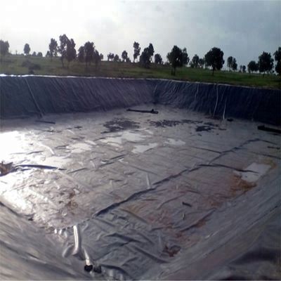 0.5mm-3.0mm Geomembranes for Agriculture LDPE/LLDPE/PVC/HDPE Material Impermeabl