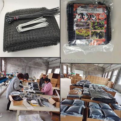 7*100ft PP Material Extruded Mesh Anti Mole Netting Black Plastic Net for Agricultural