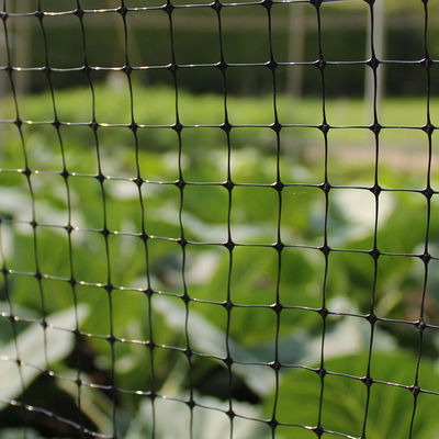 Customized Length PP Agricultural Post Horticultural Bop Garden Net Deer Rabbit Mesh Fence CE ISO