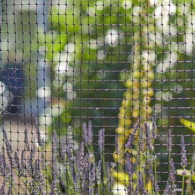 Customized Length PP Agricultural Post Horticultural Bop Garden Net Deer Rabbit Mesh Fence CE ISO