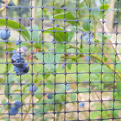 Customized Length PP Agricultural Post Horticultural Bop Garden Net Deer Rabbit Mesh Fence CE ISO