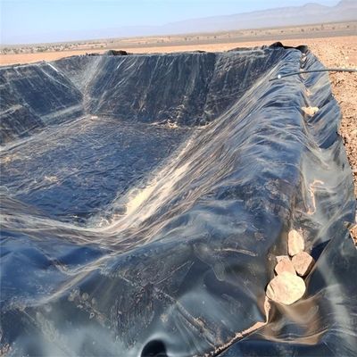 Chinese Design Style 2mm HDPE Geomembrane for Landfill Liner Dam Liner at Competitive