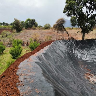 Chinese Design Style HDPE Geomembrane for Aquaculture Fish Farm Dam Landfill Pond Liner