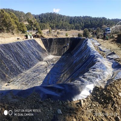 Chinese Design Style HDPE Geomembrane for Aquaculture Fish Farm Dam Landfill Pond Liner