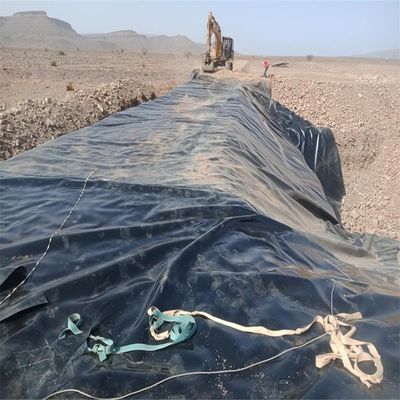 Chinese Design Style HDPE Geomembrane for Aquaculture Fish Farm Dam Landfill Pond Liner