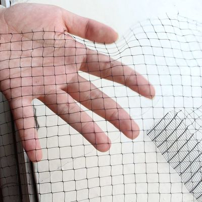 Customized Color UV-Treated PP Anti Bird Net for Chicken Farming and Garden Fish Pond