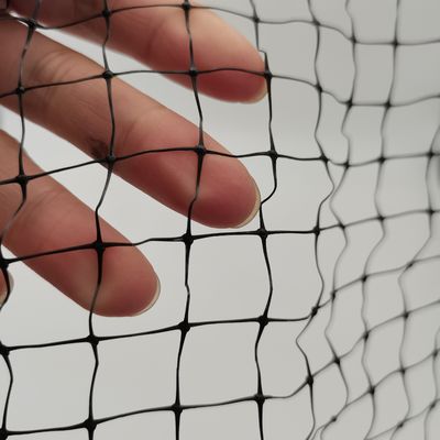 Customized Color UV-Treated PP Anti Bird Net for Chicken Farming and Garden Fish Pond