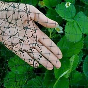 Customized Color UV-Treated PP Anti Bird Net for Chicken Farming and Garden Fish Pond