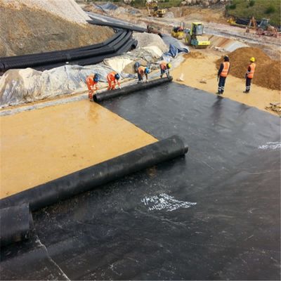 2mm Thick Black HDPE Plastic Geomembrane for Fish Farming Dam Water Tank Pond Liner Sale