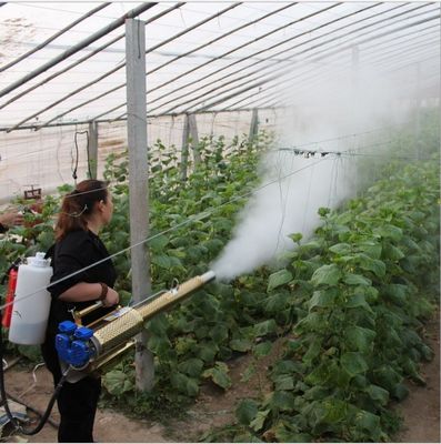 Metal Garden and Agriculture 4 Stroke Gasoline Thermal Fogging Machine at Competitive