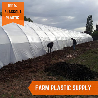 Silver Plastic Mulch Film for Yield Agricultural Cultivation of Tomatoes and Potatoes