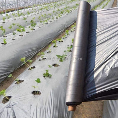 Silver Plastic Mulch Film for Yield Agricultural Cultivation of Tomatoes and Potatoes