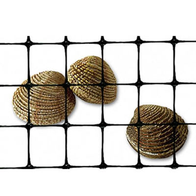 40-40kn PP Biaxial Plastic Geogrid for Road Construction and Foundation Reinforcement