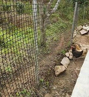 PP 3030KN Biaxial Geogrid for Road Construction Slope Protection 12.7*12.7mm Mesh Size