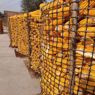 PP Biaxial Geogrid 40kn for Road Reinforcement Elite Sale Black Training Road Geo Grids