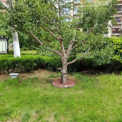 15 Gallon PVC Tree Watering Bag Portable and Durable for Slow Release Drip Irrigation