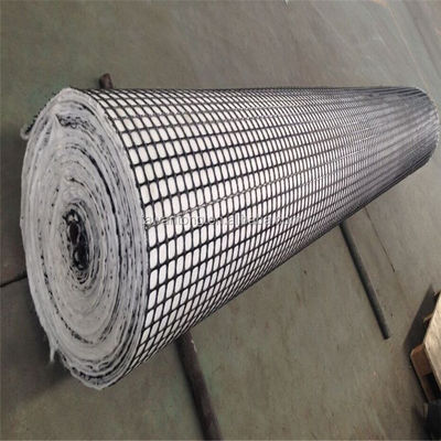 PP Plastic Geogrid Composite Pet Nonwoven Geotextile for Bridge and Tunnel Reinforcement