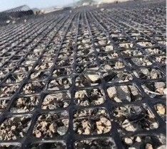25.4*25.4mm Mesh Size High Strength Biaxial PP Plastic Geogrid for Soil Reinforcement Good Sell