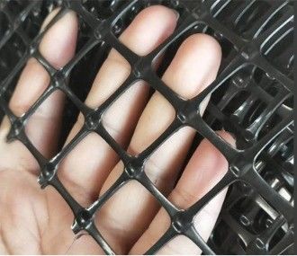 25.4*25.4mm Mesh Size High Strength Biaxial PP Plastic Geogrid for Soil Reinforcement Good Sell