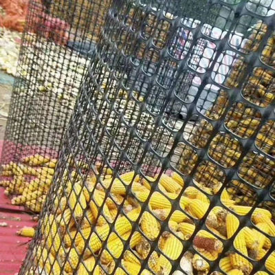 1-6m Width Biaxial PP Polypropylene Geogrid Composite Nonwoven Geotextile for Road Base